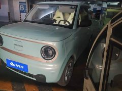 Geely Panda Mini 200km Endurance Edition - ფოტო 1