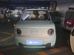 Geely Panda Mini 200km Endurance Edition - ფოტო 2