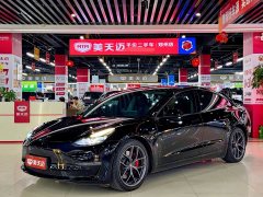 Tesla Model 3 2022 Performance All-Wheel Drive - ფოტო 1