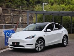 Tesla Model Y 2021 Standard Range RWD - ფოტო 1