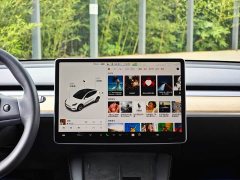 Tesla Model Y 2021 Standard Range RWD - ფოტო 13