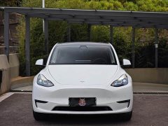 Tesla Model Y 2021 Standard Range RWD - ფოტო 2