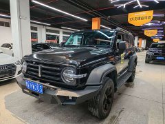 Tank 300 Off-Road Edition 2.0T Conqueror - ფოტო 5