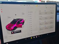 Tesla Model Y Rear-Wheel Drive - ფოტო 13