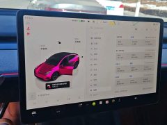 Tesla Model Y Rear-Wheel Drive - ფოტო 14