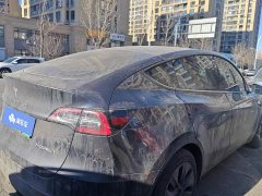 Tesla Model Y Rear-Wheel Drive - ფოტო 3