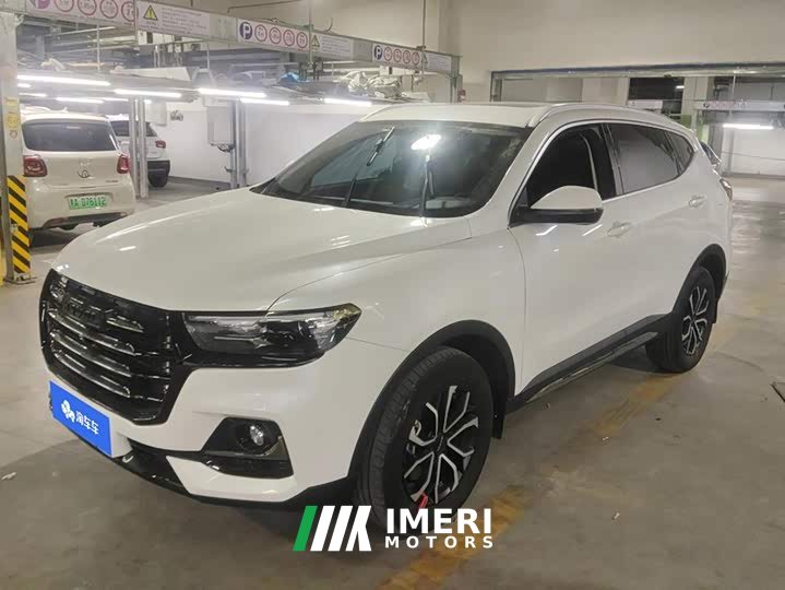 Haval H6 2021 National Trend Edition 1.5T Automatic Urban Version - ავტომობილი ჩინეთიდან
