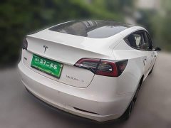 Tesla Model 3 Standard Range RWD Upgrade - ფოტო 4
