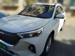 Haval M6 PLUS 1.5T Manual Luxury Smart Connected Edition - ფოტო 1