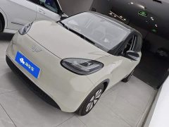 Wuling Binguo 333km Lingxi Connected Edition - ფოტო 1