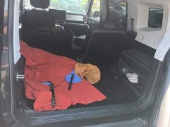 Jetour Chitu Jietu Traveler 2.0T AWD Expedition PRO - ფოტო 4