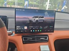 Jetour Shanhai L7 PLUS 220km Luxury Edition 7-seater - ფოტო 13