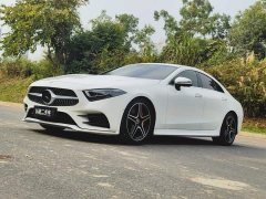 Mercedes-Benz CLS 300 Luxury - ფოტო 1