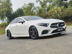 Mercedes-Benz CLS 300 Luxury - ფოტო 3
