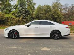 Mercedes-Benz CLS 300 Luxury - ფოტო 4