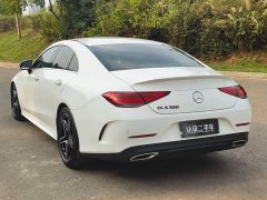 Mercedes-Benz CLS 300 Luxury - ფოტო 5