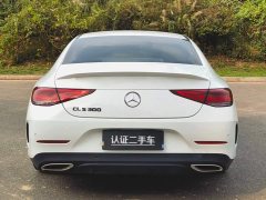 Mercedes-Benz CLS 300 Luxury - ფოტო 6
