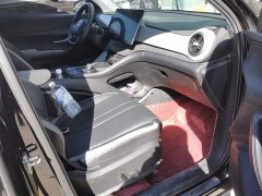 BYD Sea Lion 05 DM-i Smart Driving Edition 115KM Prestigious Edition - ფოტო 8