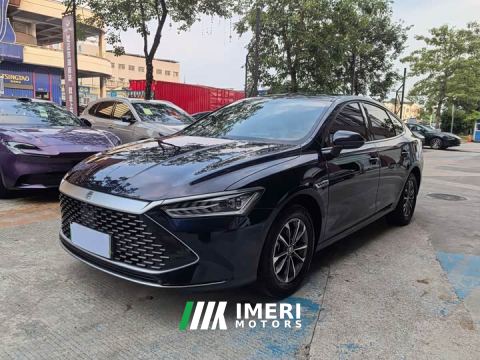 2023 BYD Qin PLUS Champion Edition DM-i 55KM Leading