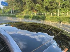 BYD Haima Lion 07 EV 610 Long Range Edition - ფოტო 18