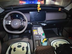Wuling Starlight 560 New Energy Plug-in Hybrid 125km Luxury - ფოტო 12