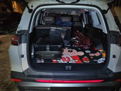 Wuling Starlight 560 New Energy Plug-in Hybrid 125km Luxury - ფოტო 4