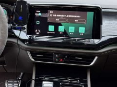 Volkswagen Viloran 380TSI Prestige - ფოტო 19