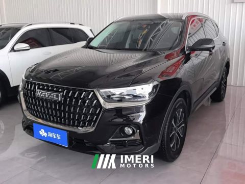 2024 Haval H6 2023 National Trend Edition 1.5T Automatic Champion Version - ავტომობილი ჩინეთიდან