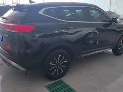 Haval H6 2023 National Trend Edition 1.5T Automatic Champion Version - ფოტო 3