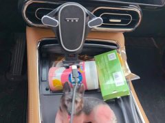 Leapmotor Leapo C11 Pure Electric 580 Premium Edition - ფოტო 16