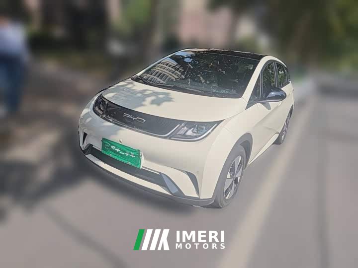 BYD Dolphin 2023 420km Fashion Edition - ავტომობილი ჩინეთიდან