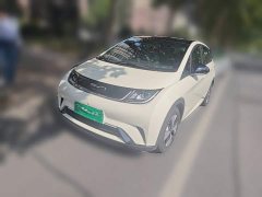 BYD Dolphin 2023 420km Fashion Edition - ფოტო 1