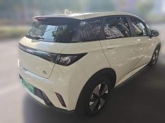 BYD Dolphin 2023 420km Fashion Edition - ფოტო 4