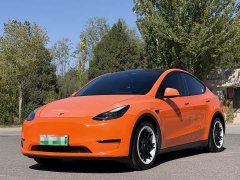 Tesla Model Y 2021 Standard Range RWD - ფოტო 1