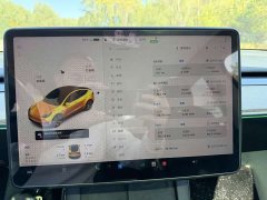 Tesla Model Y 2021 Standard Range RWD - ფოტო 14