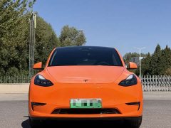 Tesla Model Y 2021 Standard Range RWD - ფოტო 2
