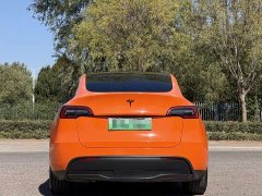 Tesla Model Y 2021 Standard Range RWD - ფოტო 5