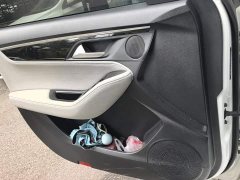 Jac iC5 Luxury Edition - photo 7
