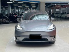 Tesla Model Y Rear-Wheel Drive - ფოტო 2