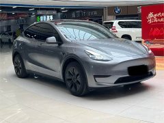 Tesla Model Y Rear-Wheel Drive - ფოტო 3