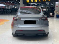 Tesla Model Y Rear-Wheel Drive - ფოტო 8