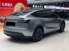 Tesla Model Y Rear-Wheel Drive - ფოტო 9