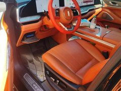Great Wall WEY Blue Mountain Four-Wheel Drive Extended Range Version - ფოტო 9