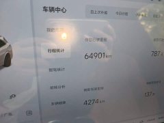 Li Auto L7 MAX - ფოტო 8