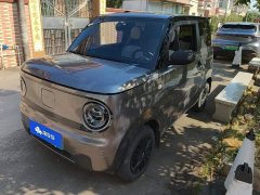 Geely Panda Mini 200km Endurance Edition - ფოტო 1