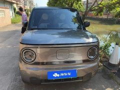 Geely Panda Mini 200km Endurance Edition - ფოტო 2