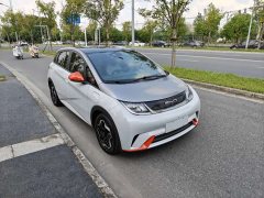 BYD Dolphin 405km Fashion Edition - ფოტო 1