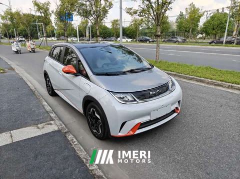 2022 BYD Dolphin 405km Fashion Edition