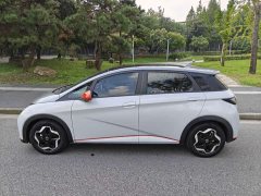 BYD Dolphin 405km Fashion Edition - ფოტო 4
