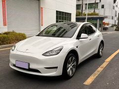Tesla Model Y Long Range All-Wheel Drive 3D7 - ფოტო 1